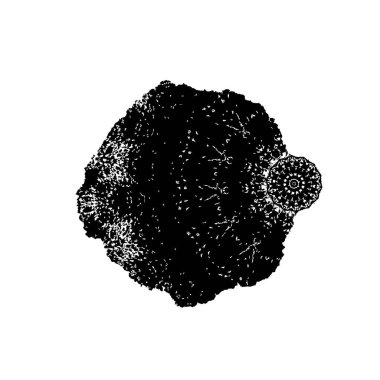  Soyut doku, siyah beyaz arkaplan. vektör illüstrasyonu   