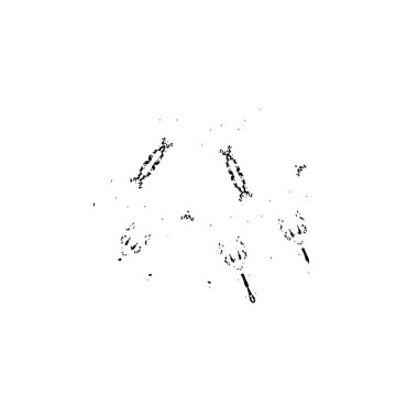 Beyaz arkaplanda soyut bir element. vektör illüstrasyonu          