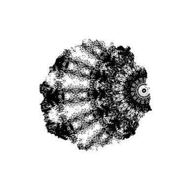 Beyaz arkaplanda soyut bir element. vektör illüstrasyonu          