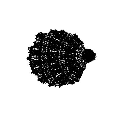 Beyaz arka planda soyut ayrıntı. vektör illüstrasyonu    