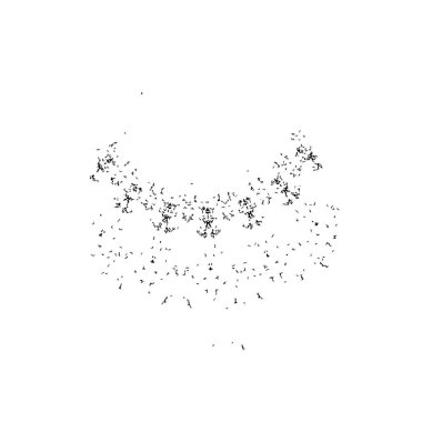 Soyut tek renkli arkaplan. Siyah ve beyaz vektör çizimi 