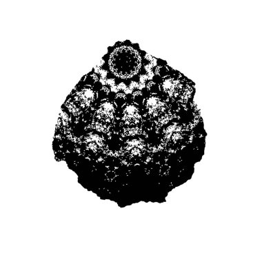 Soyut tek renkli arkaplan. Siyah ve beyaz vektör çizimi 