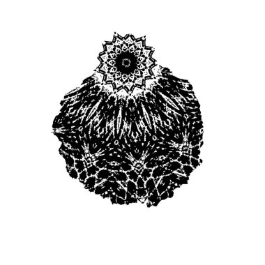 grunge mürekkebi sıçrama vuruşu