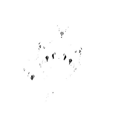 Fırça darbeleriyle tek renkli arkaplanın vektör illüstrasyonu.