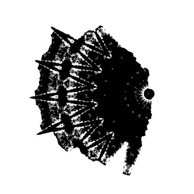 Grunge dokusu. Soyut siyah beyaz arka plan. Tek renkli vintage yüzey        