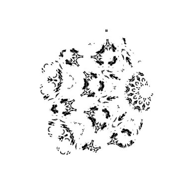 Grunge dokusu. Soyut siyah beyaz arka plan. Tek renkli vintage yüzey        