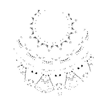 Grunge dokusu. Soyut siyah beyaz arka plan. Tek renkli vintage yüzey        