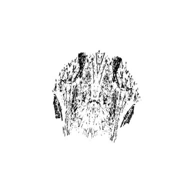 Grunge dokusu. Soyut siyah beyaz arka plan. Tek renkli vintage yüzey        