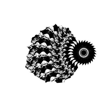 Siyah ve beyaz dokular. monokrom grunge soyut elementler . 