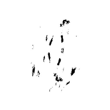 soyut siyah ve beyaz desenli arkaplan 