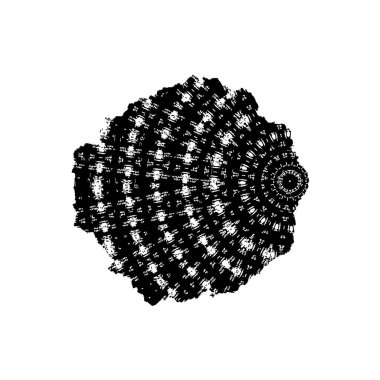 brush stroke, black and white creative element