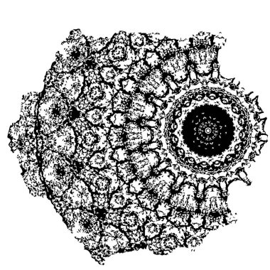 creative element, black brush stroke on white background 