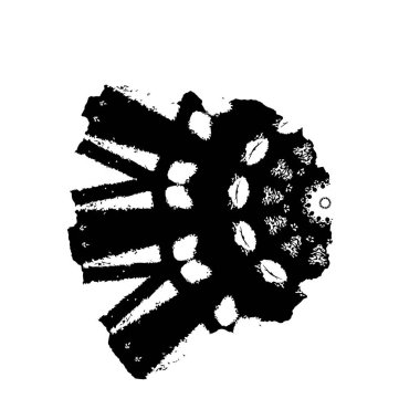 creative black brush stroke on white background 