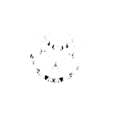 creative black brush stroke on white background 