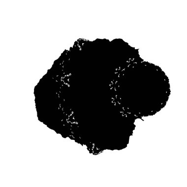 Beyaz arka planda siyah fırça darbesi 