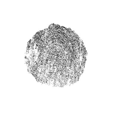 Beyaz arka planda siyah fırça darbesi 