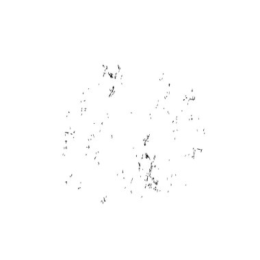 Beyaz arka planda siyah fırça darbesi 