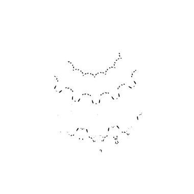 Beyaz arka planda siyah fırça darbesi 