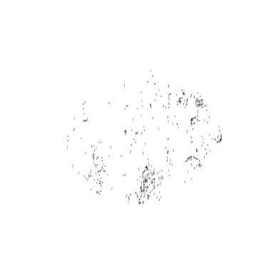 Beyaz arka planda siyah fırça darbesi 