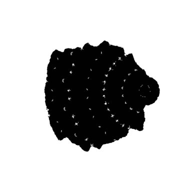 Beyaz arka planda siyah fırça darbesi 