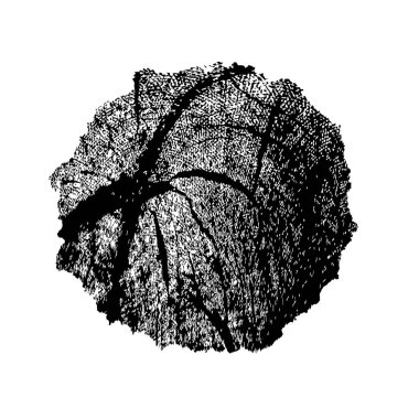 Beyaz arka planda siyah fırça darbesi 