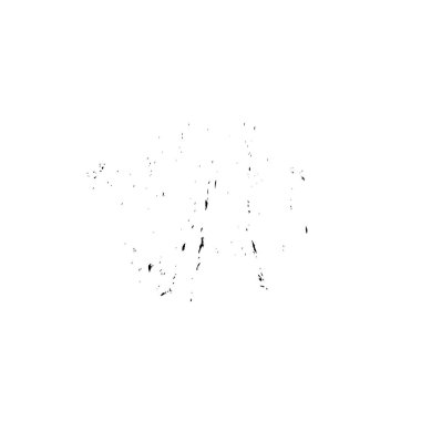 Beyaz arka planda siyah fırça darbesi 