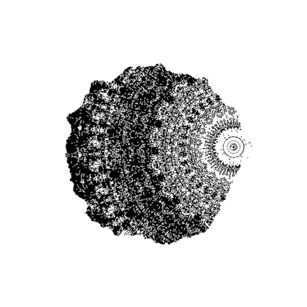 siyah ve beyaz desenli, soyut arkaplan