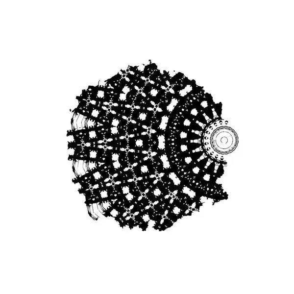 Siyah ve beyaz dokular. monokrom grunge soyut elementler . 