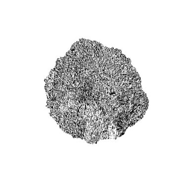 Beyaz arka planda soyut grunge siyah nokta. vektör illüstrasyonu