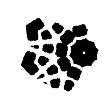 süs dokusu ve sanat tasarımı ile siyah ve beyaz monokrom soyut arkaplan