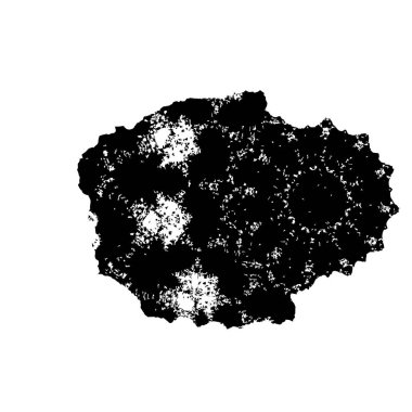 Abstract black and white vector background. Monochrome vintage surface with dirty pattern in cracks, spots, dots