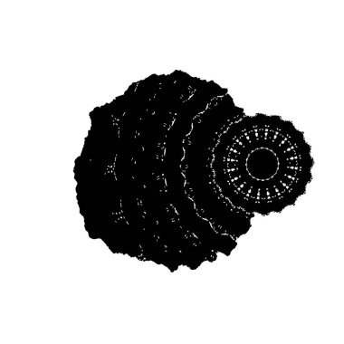 vektör siyah mürekkep darbesi. soyut fırça darbesi izole edildi.