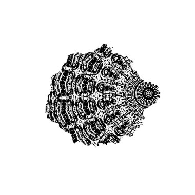 Beyaz arkaplanda siyah mürekkep darbesi.