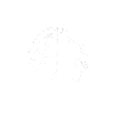 vektör siyah fırça darbesi