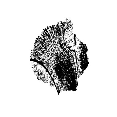 grunge siyah fırça darbesi