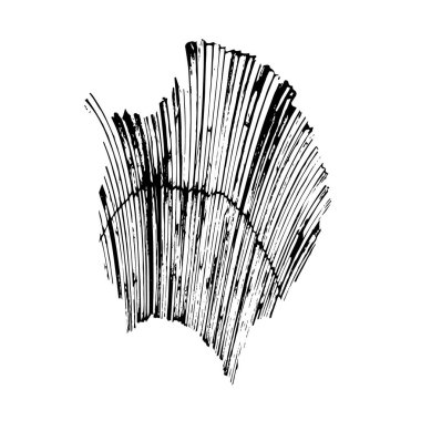 grunge siyah fırça darbesi