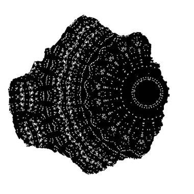 Modern Şekil Damgaları Koleksiyonu, Grunge Circles. Pankartlar, İşaretler, Logolar, Simgeler, Etiketler ve Rozetler. Vektör tasarım elemanı. yuvarlak doku