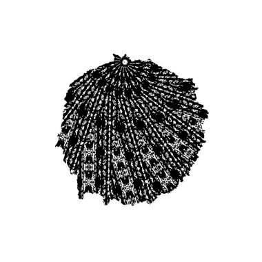 Modern Şekil Damgaları Koleksiyonu, Grunge Circles. Pankartlar, İşaretler, Logolar, Simgeler, Etiketler ve Rozetler. Vektör tasarım elemanı. yuvarlak doku