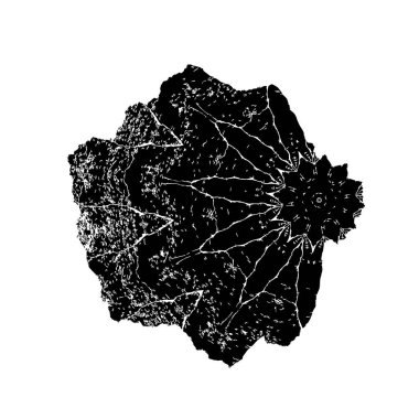 Siyah ve beyaz dokular. monokrom grunge soyut elementler . 