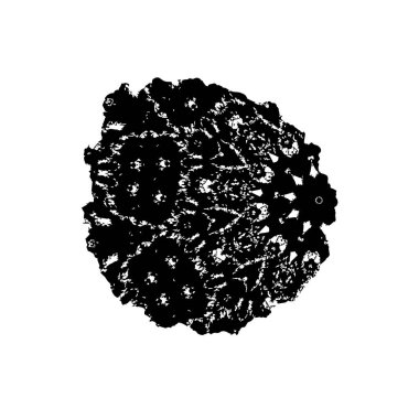 Grunge dokusu. Soyut siyah beyaz arka plan. Tek renkli vintage yüzey        