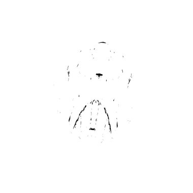 Siyah ve beyaz dokular. monokrom grunge soyut elementler . 