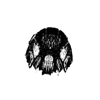 Grunge siyah beyaz doku arka plan