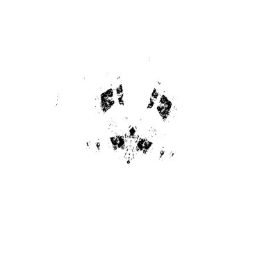 Grunge siyah beyaz doku arka plan