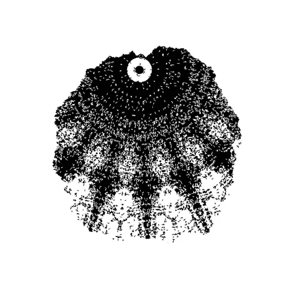 Grunge dokusu. Soyut siyah beyaz arka plan. Tek renkli vintage yüzey        