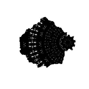 Soyut siyah ve beyaz doku arkaplanı