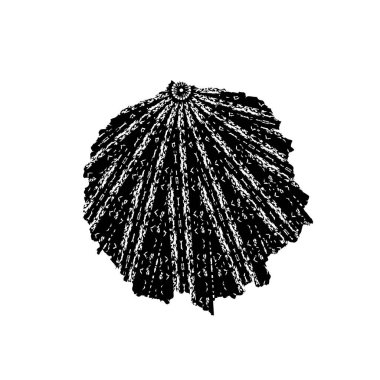 Soyut siyah ve beyaz doku arkaplanı