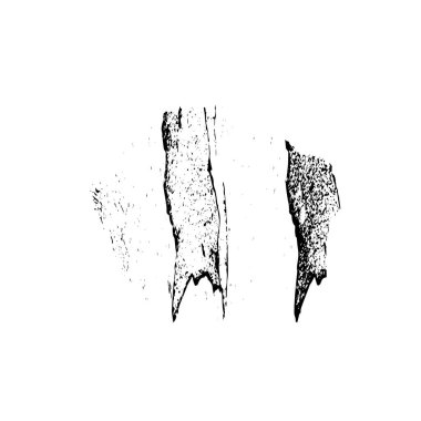 soyut siyah fırça darbesi, vektör çizimi