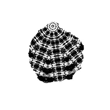 siyah ve beyaz grunge arkaplan dokusu 