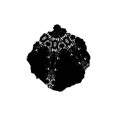 Beyaz arka planda bir motosikletin vektör silueti.