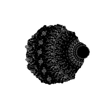 Siyah ve beyaz desenli, benekli, çizik ve çizikli. soyut vektör illüstrasyonu. 